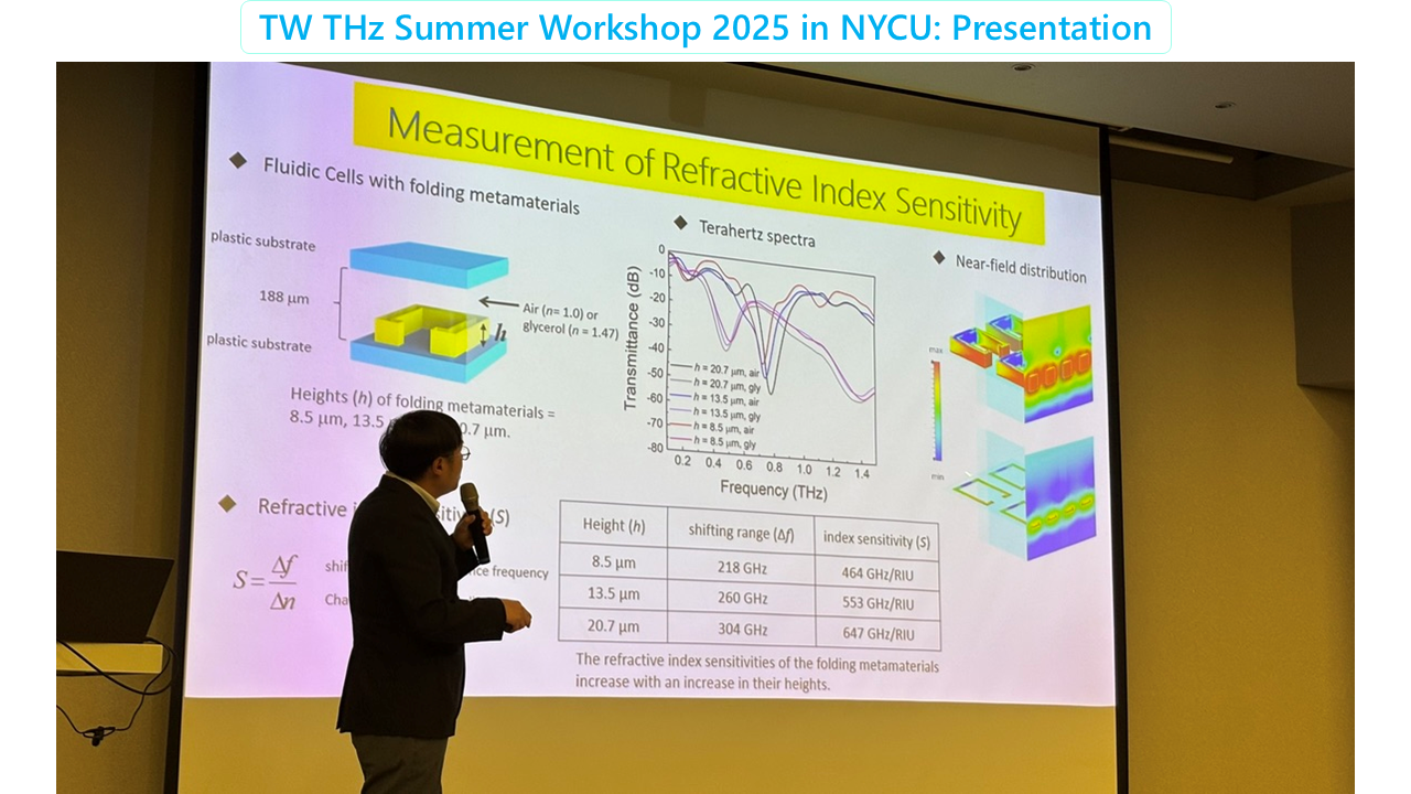 TW THz workshop 2025