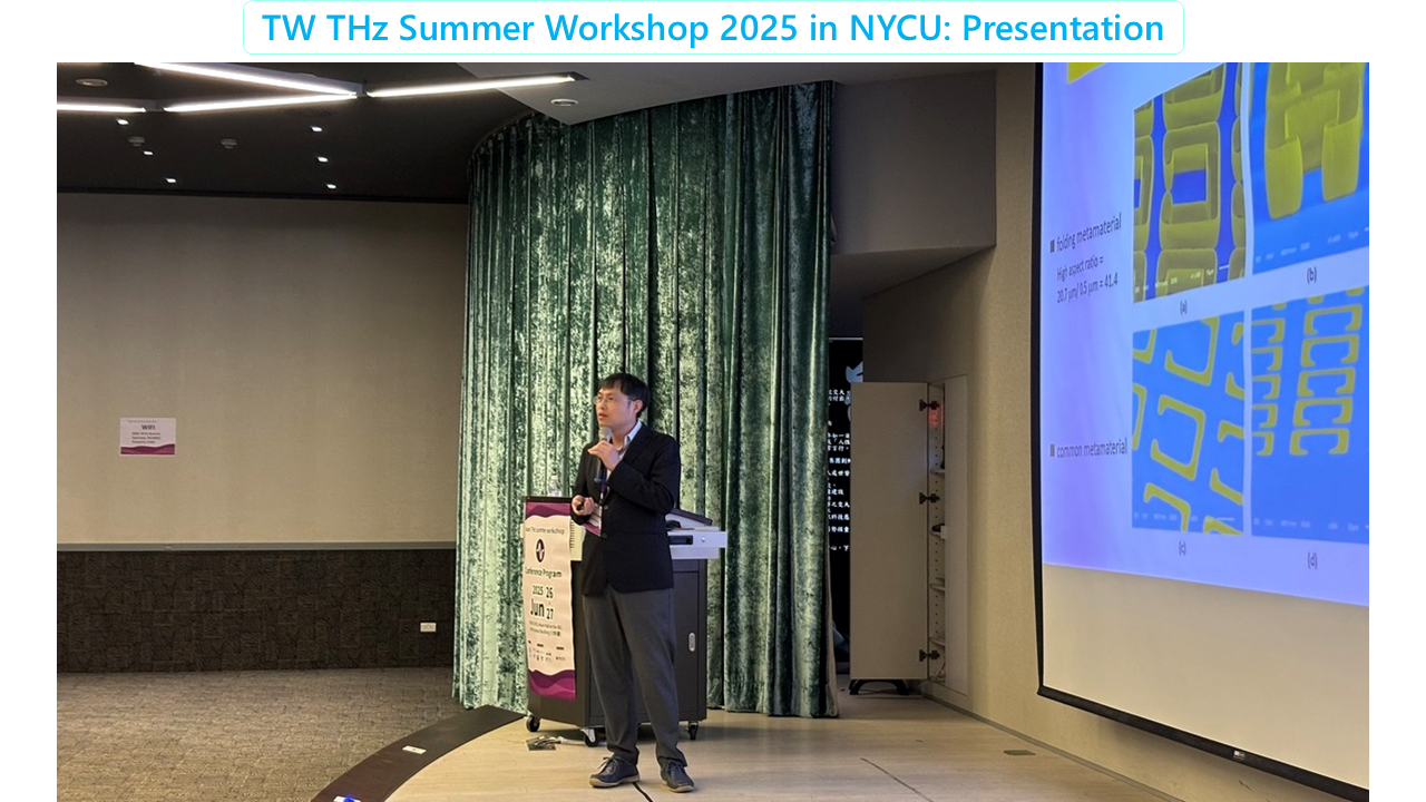 TW THz workshop 2025