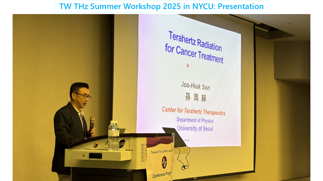 TW THz workshop 2025